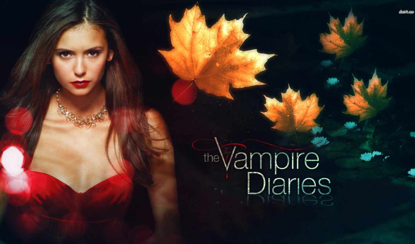 TV, Stefan, journals, vampire, elena