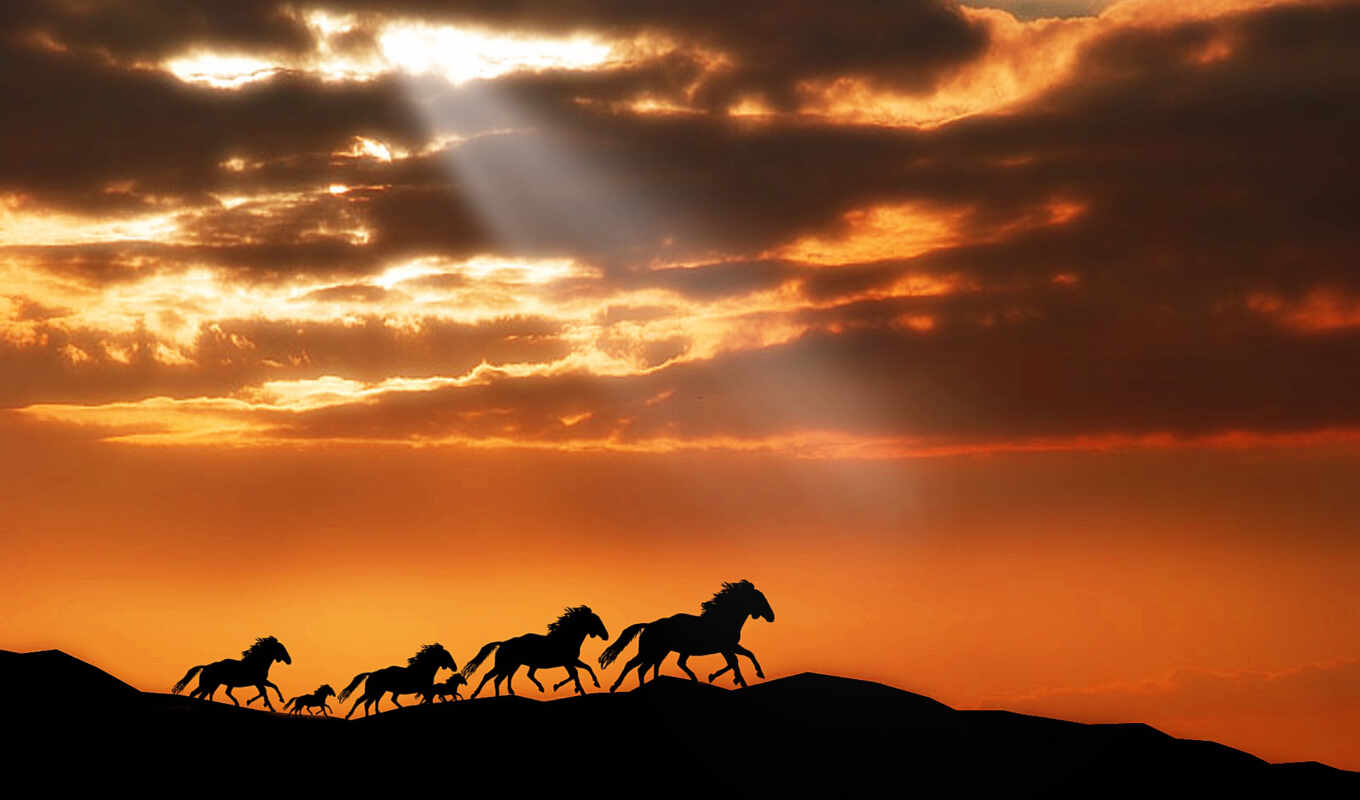 sky, horse, sunset, horses, organic, horses, zhivotnye, mountains
