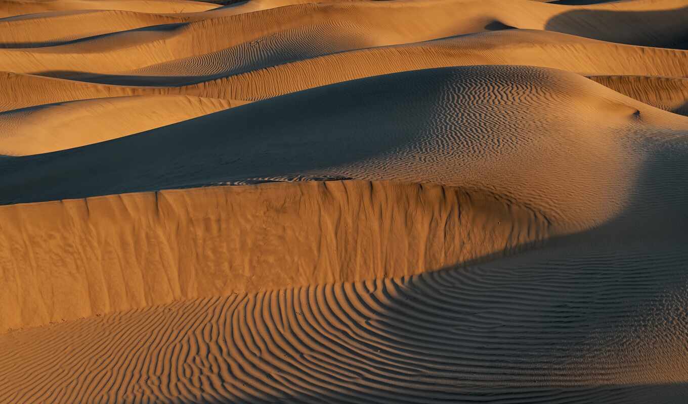 photo, sand, desert, indian, india, sugar, dune, deserto, tar, e, rajasthan