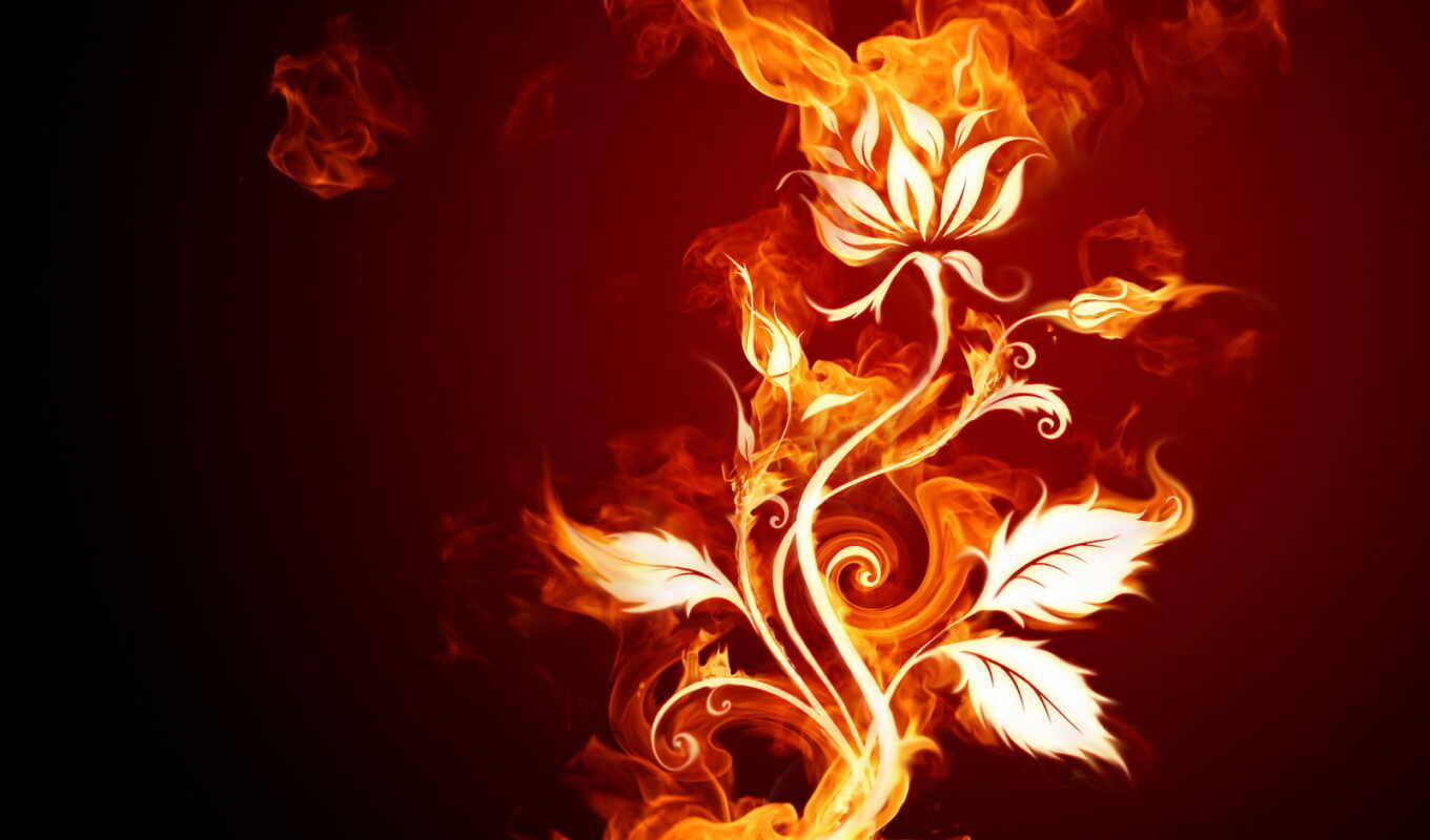 art, цветы, abstract, свет, огонь, пламя, burn