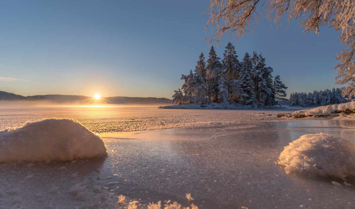 sun, дерево, winter, утро, восход, норвегия, bergen