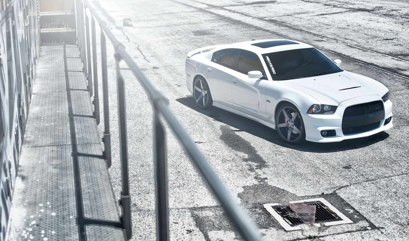 white, picture, tuning, dodge, charger, dodge, srt, speed, need, position, charger