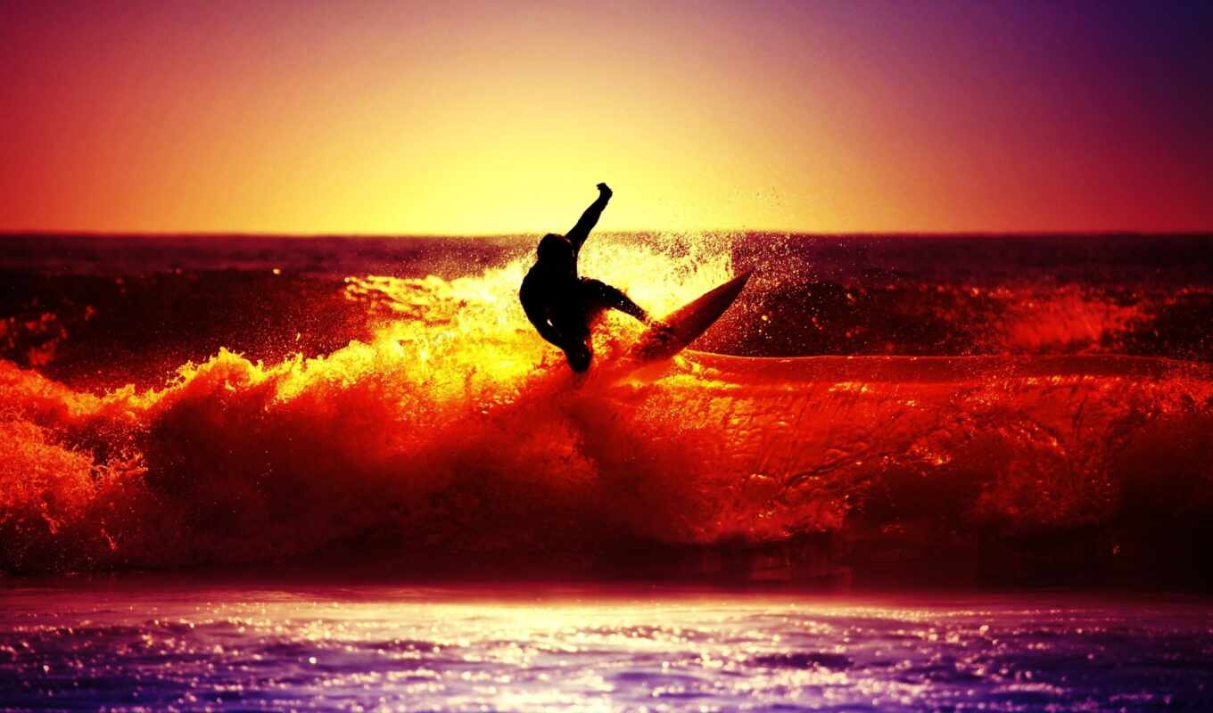 sunset, sea, sport, surf, surfing, surfing, cerf