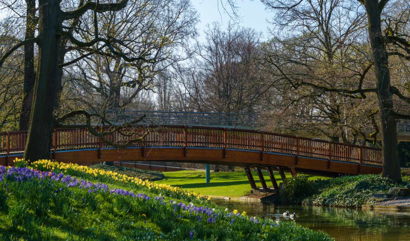 nature, Bridge, Germany, spring, screen, park, river, bridge, spring, park, karlsruhe