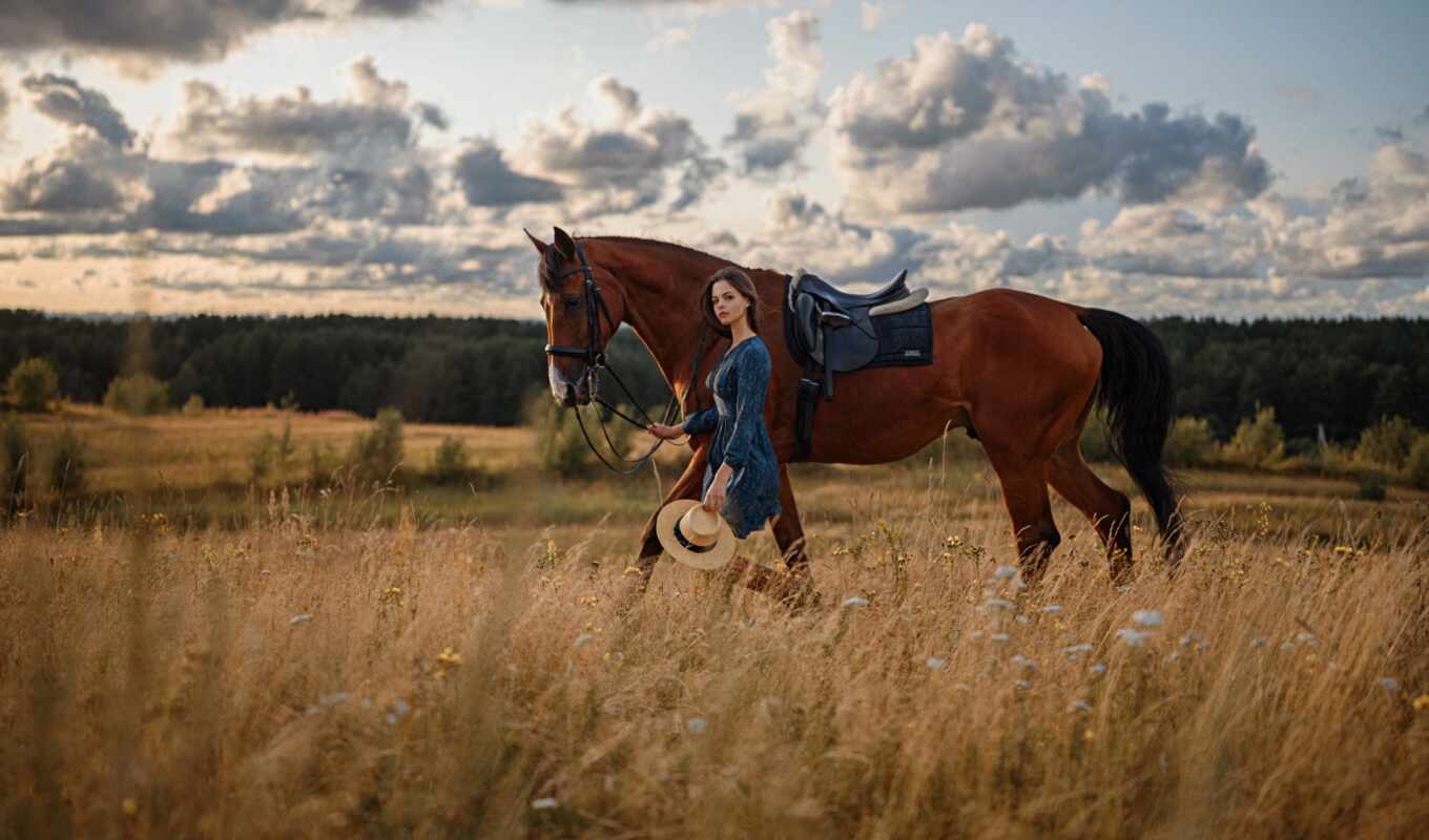 horse, field, she, pry, cowgirl