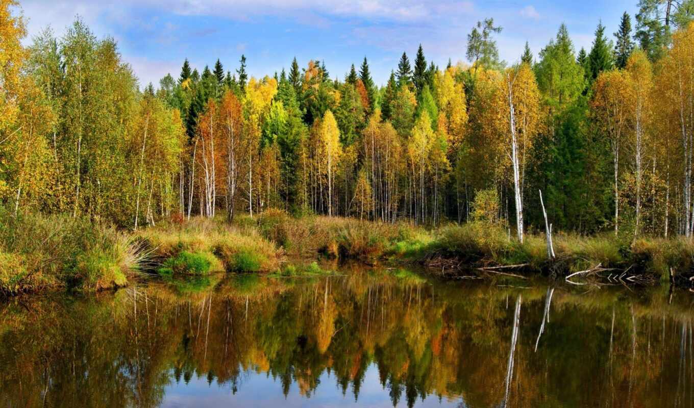 природа, пейзажи -, pictures, лес, landscape, осень, пруд, осенние