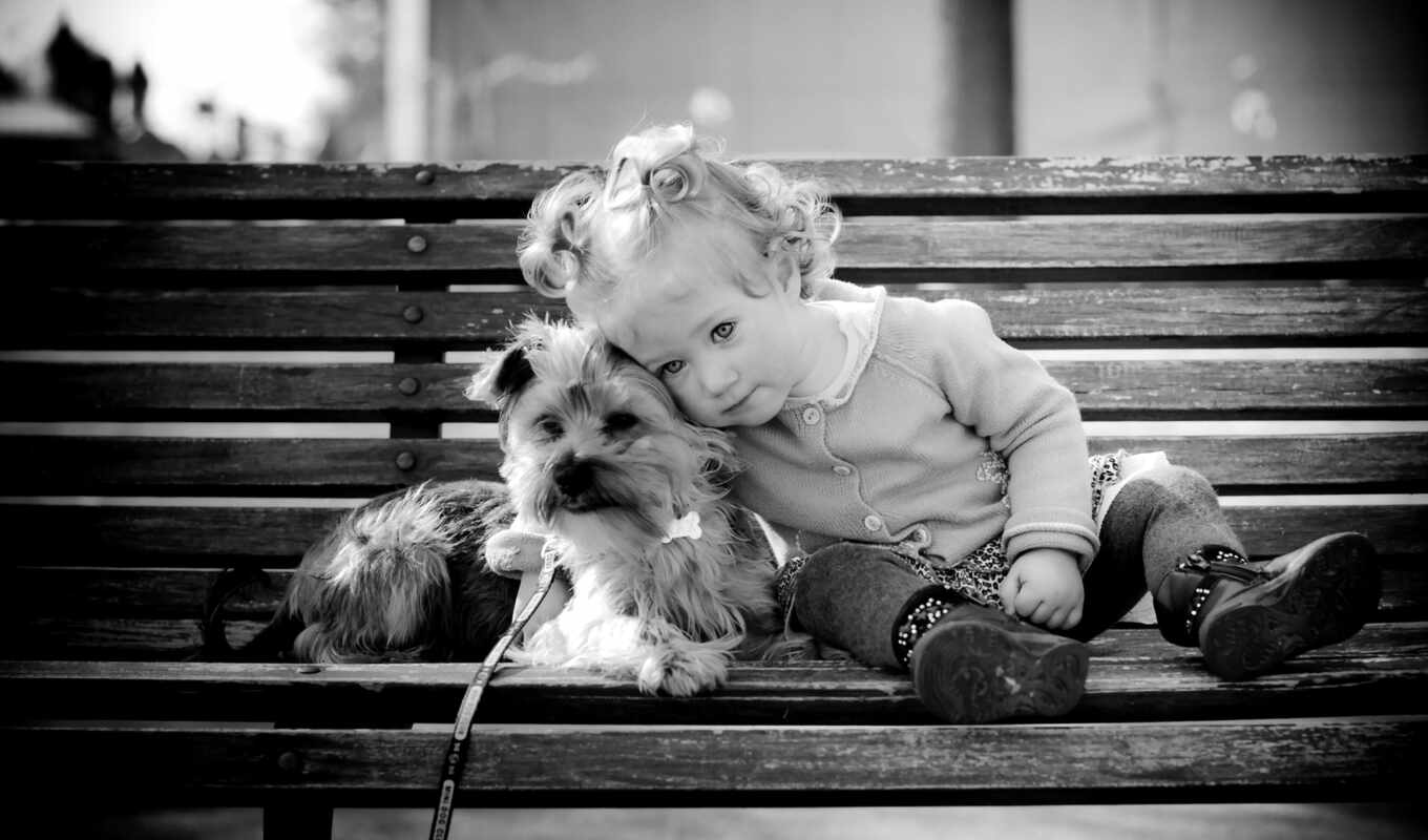 black, girl, white, girls, dogs, children, other, seat, bench, doggy