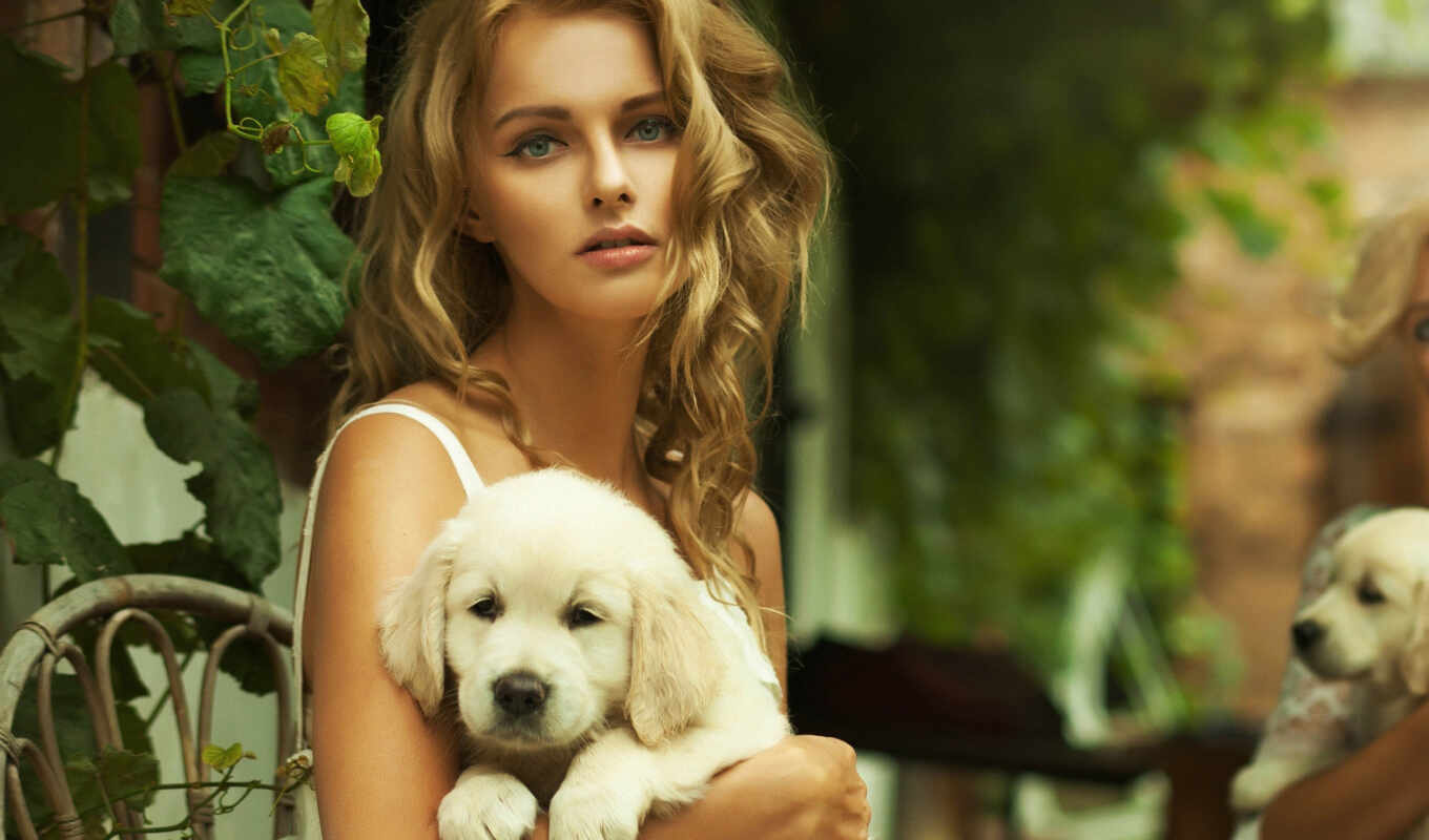 girl, beautiful, beautiful, golden, animals, puppy, dogs, hands, zhivotnye, devushki, retriever
