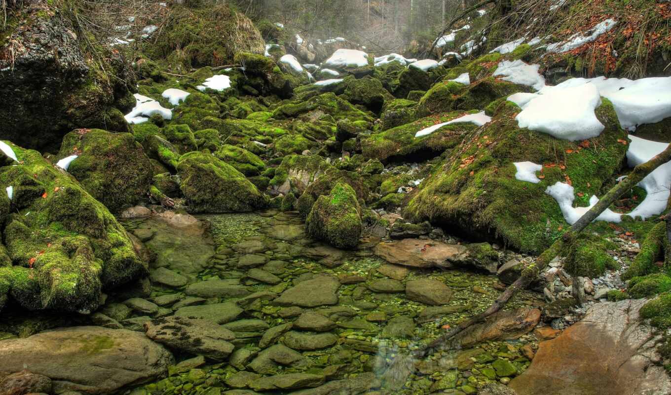 природа, desktop, зелёный, water, лес, весна, мох, река, камни