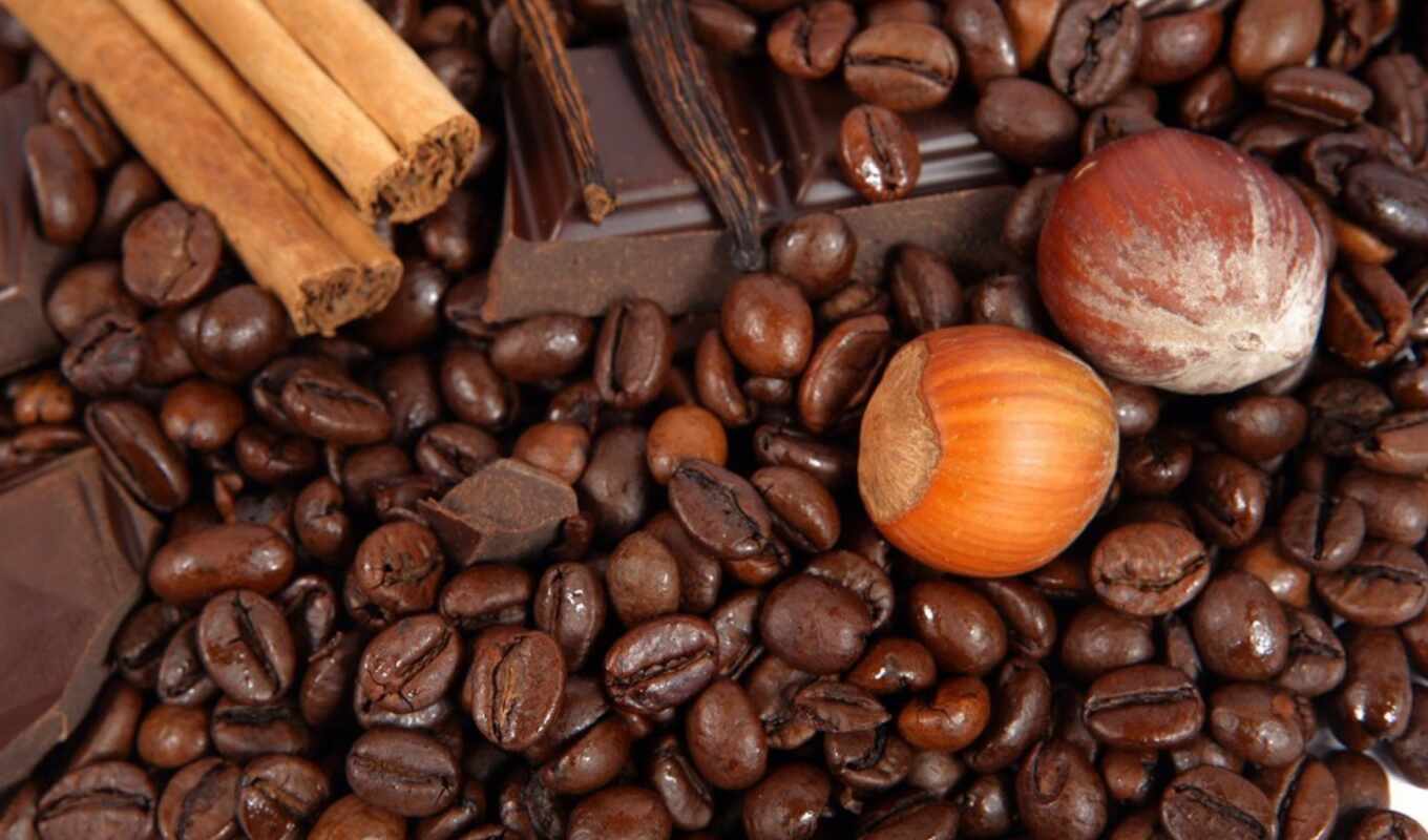 coffee, chocolate, мебель, company, cinnamon