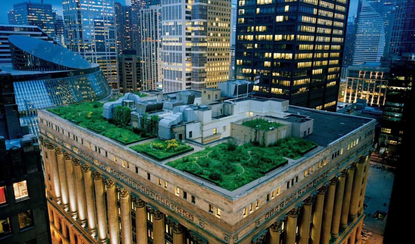 new, garden, centre, roof, roofs, york, roofs, york, Rockefeller
