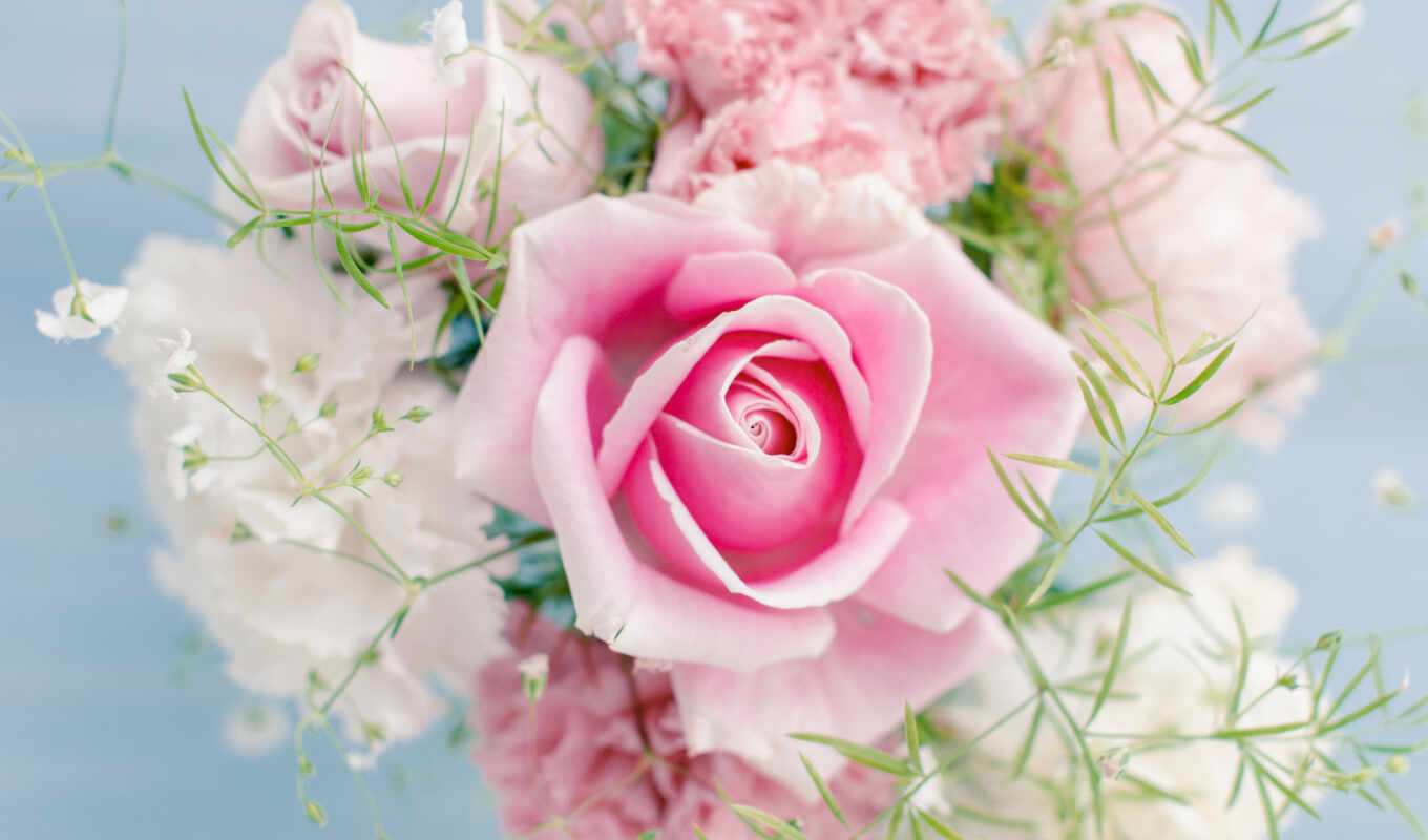 rose, light, flowers, pink, color, bouquet, cvety, pink