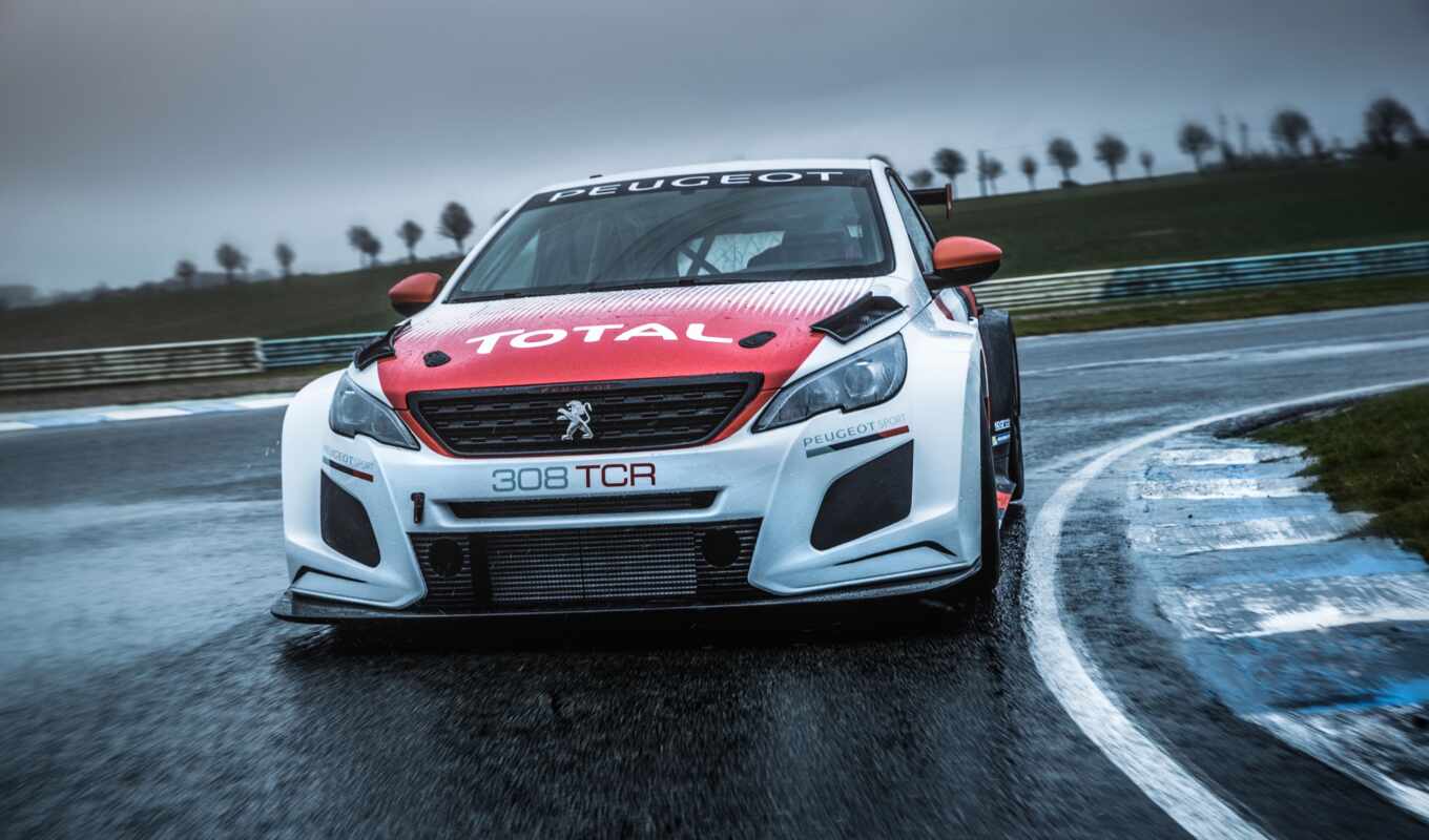 you, car, cup, peugeot, of, race, hatch, tcr, wtcr