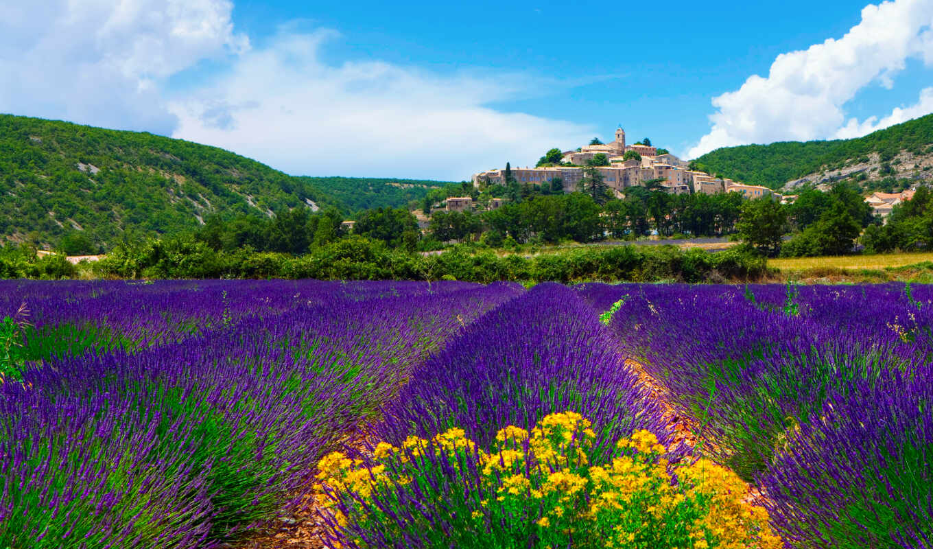поле, франция, поля, lavender, лавандовые, прованс