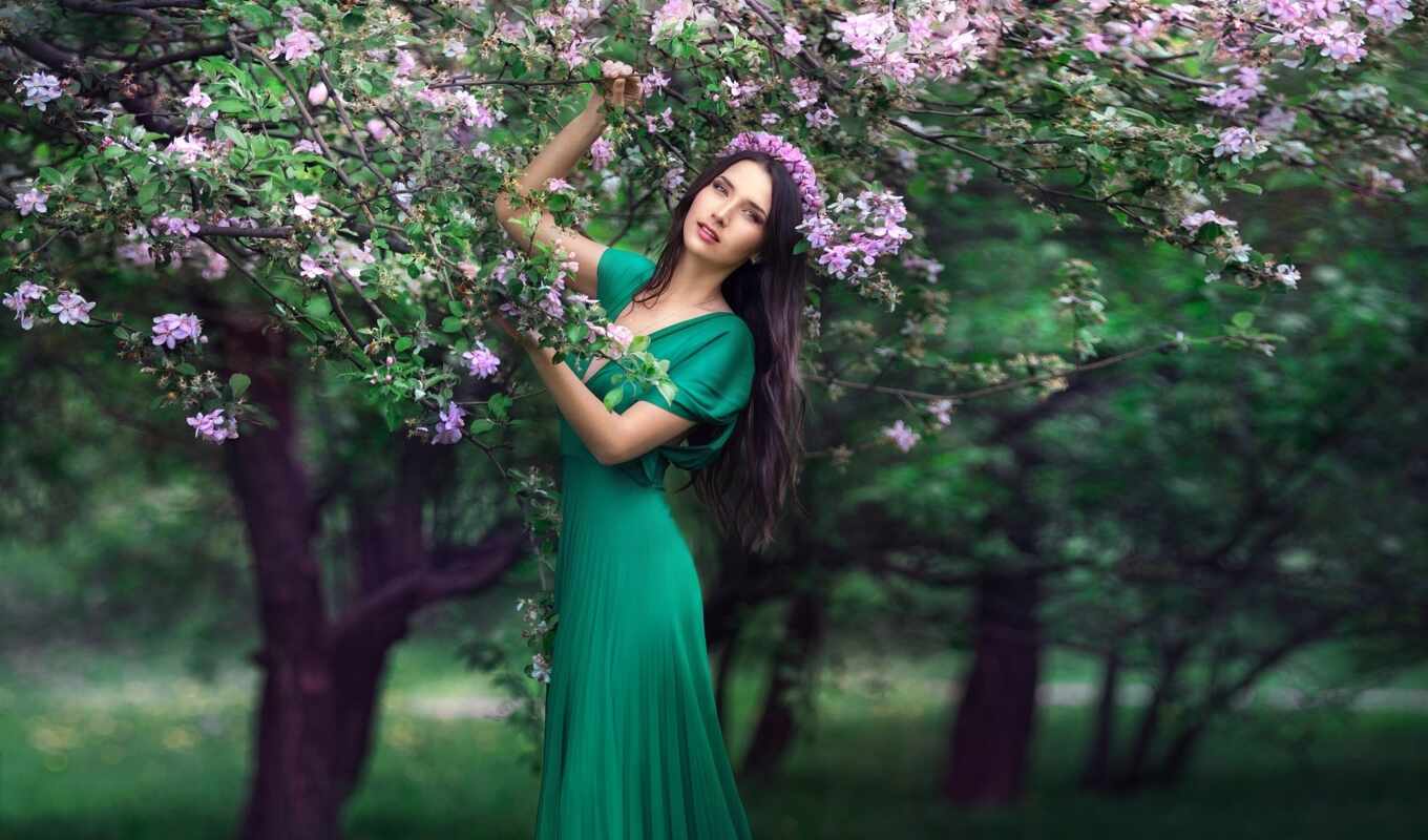 nature, tree, spring, blossom, youtube, https, mounika, coquedeux