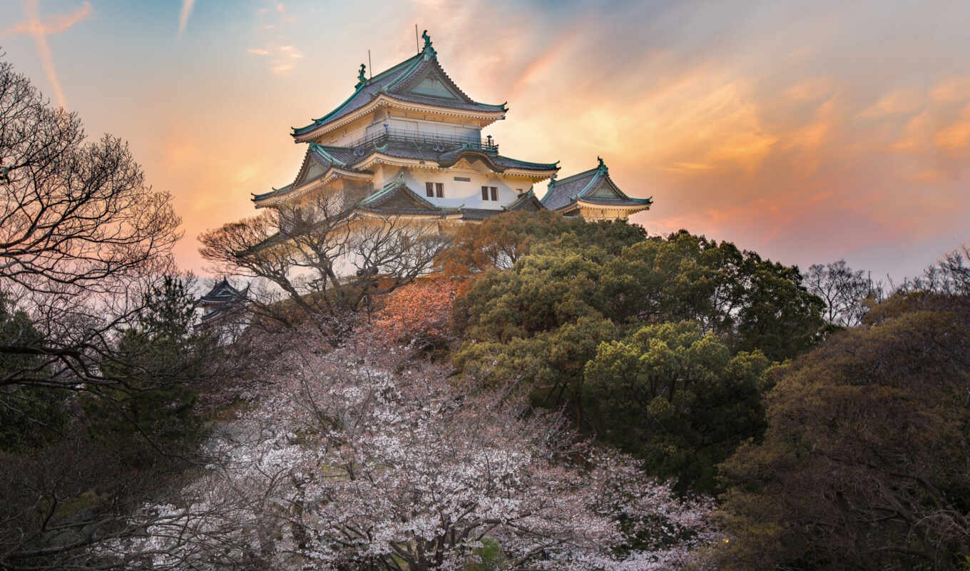 house, sunset, architecture, castle, sea, asian, Japan, fountain, osaka, wakayama, sakura
