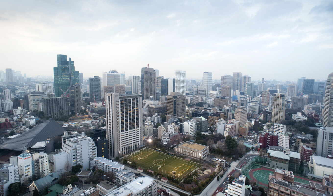city, cityscape, japanese, tower, tokyo, build, Japan, carp, delivery, Tokyo, koinoborus