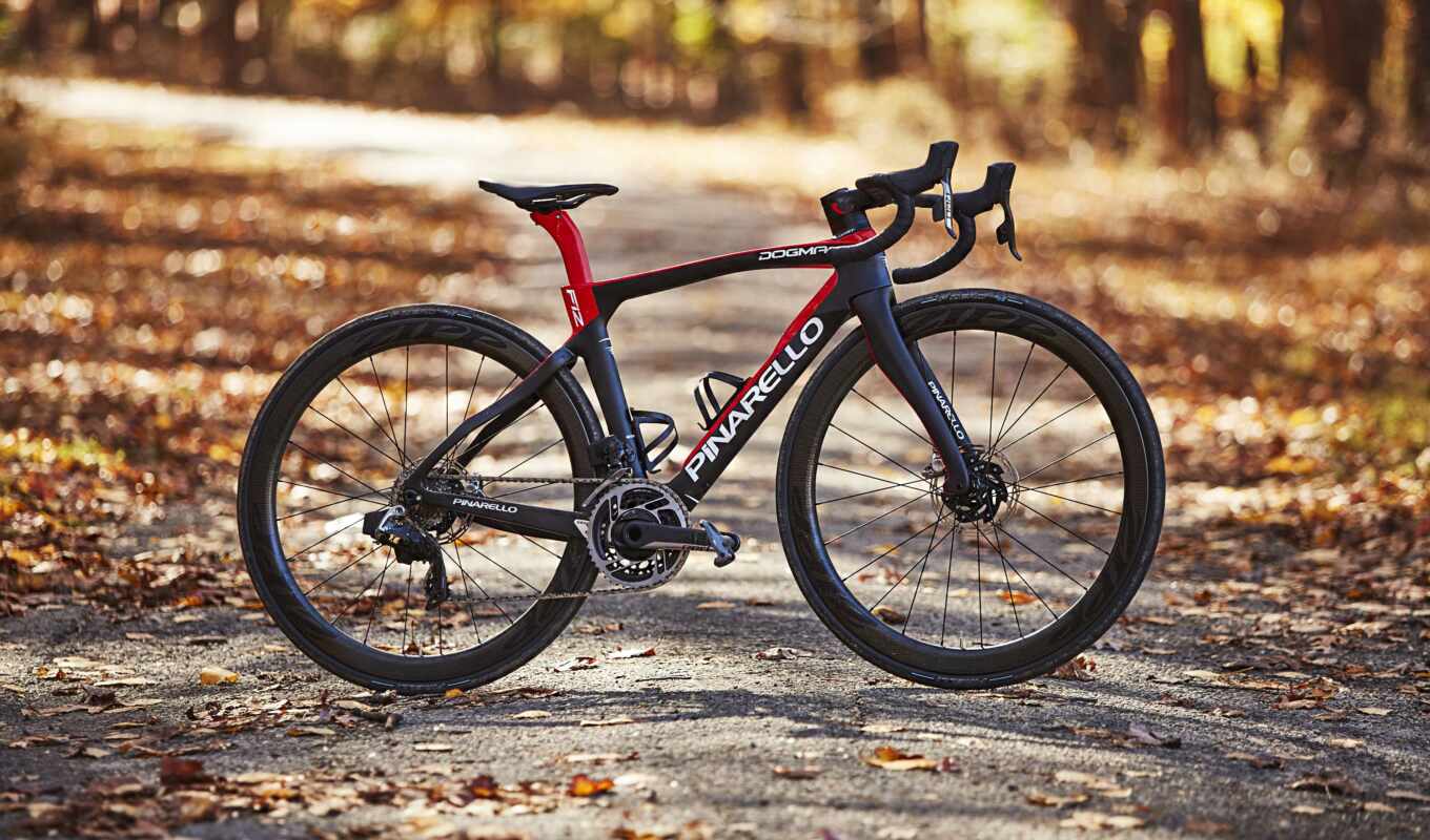 carbon fiber, road, sport, bike, bicycle
