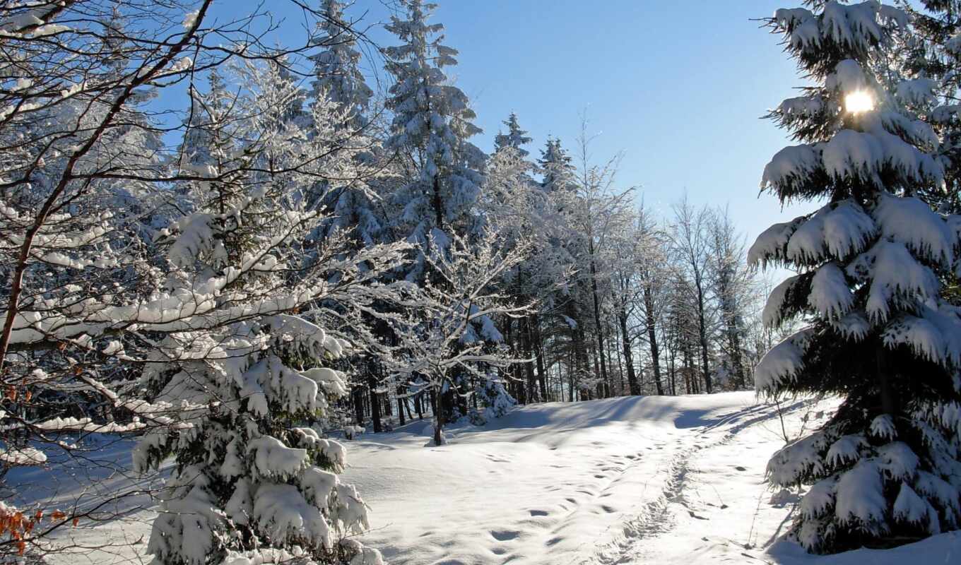 природа, картинка, снег, winter, trees, горы
