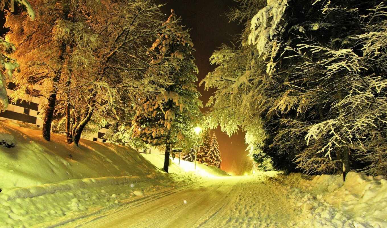 широкоформатные, ночь, снег, winter, дорога, trees, зимняя, фонари
