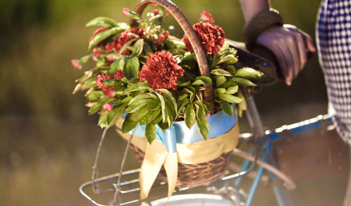 цветы, телефон, red, корзина, outdoors, велосипед, leaf