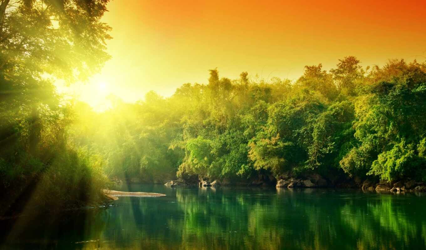 trees, desktop, high, widescreen, background, image, green, water, amazing, images, mix, nature, definition, the sun, reflection, forest, sunrise, river, red, oil