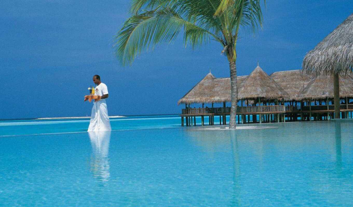 hotel, island, resort, spa, maldives, water, rest, hotels, gili, soneva