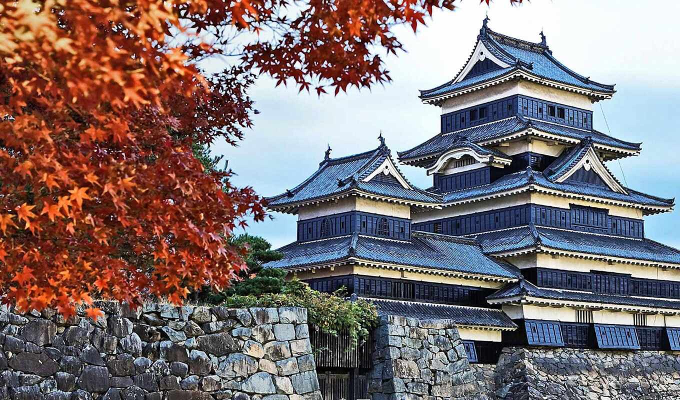 castle, trees, япония, guide, matsumoto, nagano