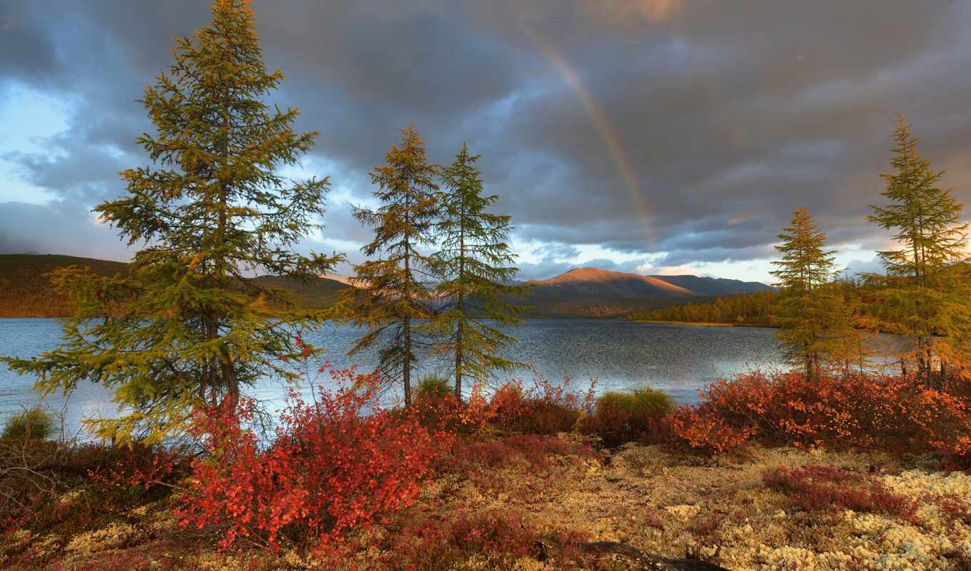озеро, дерево, радуга, landscape, россия, тематика, ручей, paisaje, iris, arco