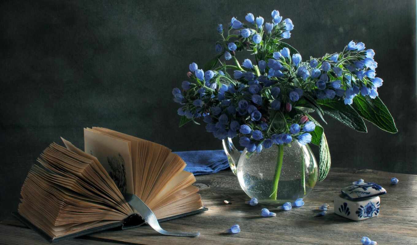book, blue, tape, vase, books, cvety, still-life