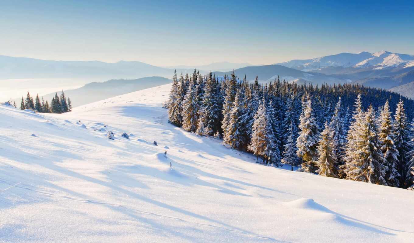 природа, снег, winter, лес, trees, широкоэкранные, горы