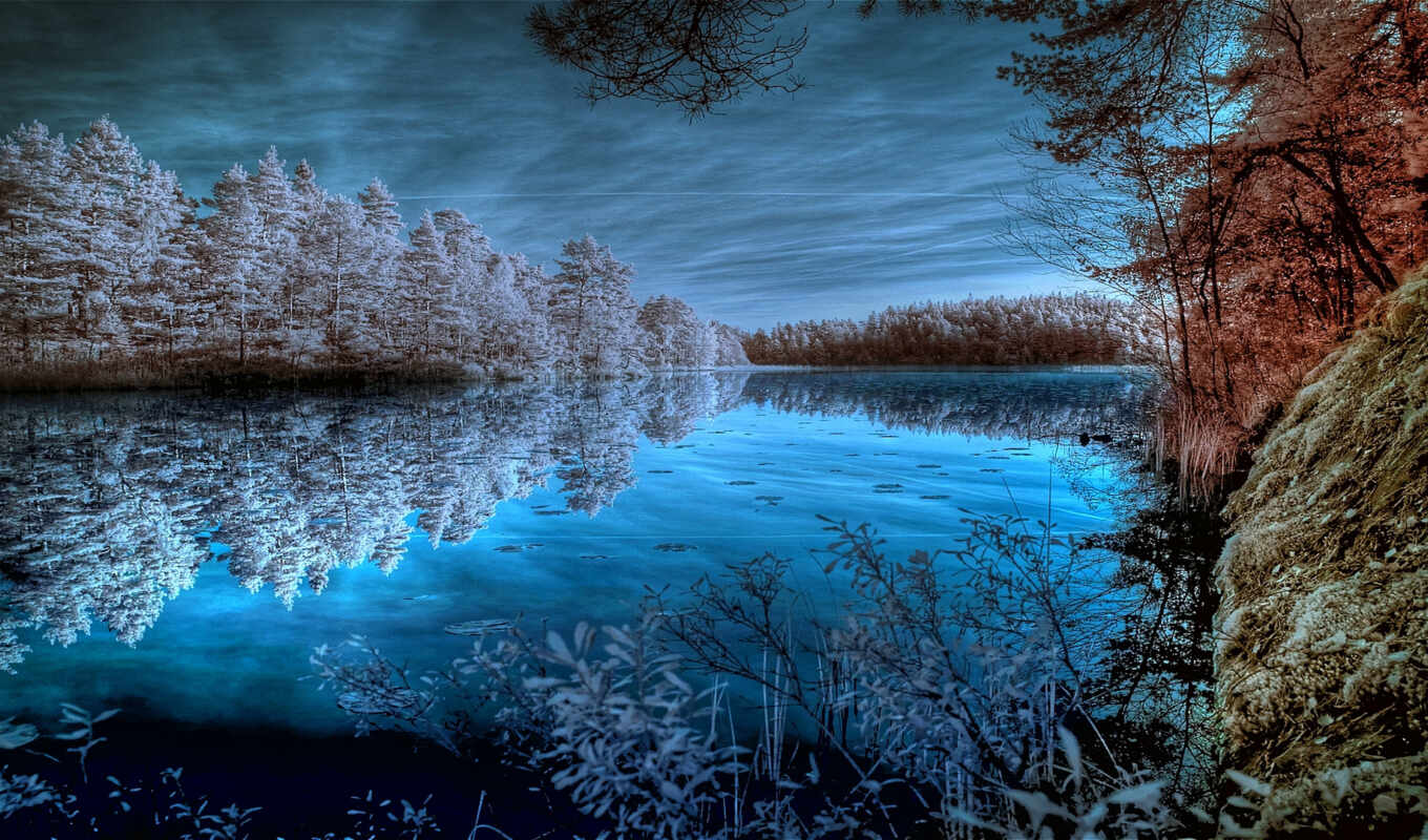 lake, blue, white, online, frost, forest, autumn, trees, reflection, puzzle