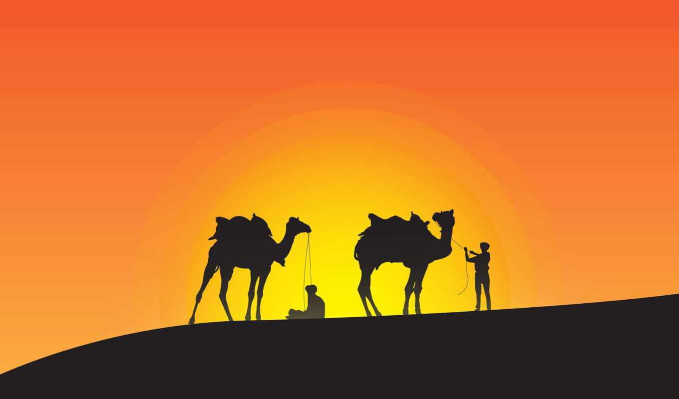 sunset, add, desert, a shadow, minimal, relief, camel, aeolian