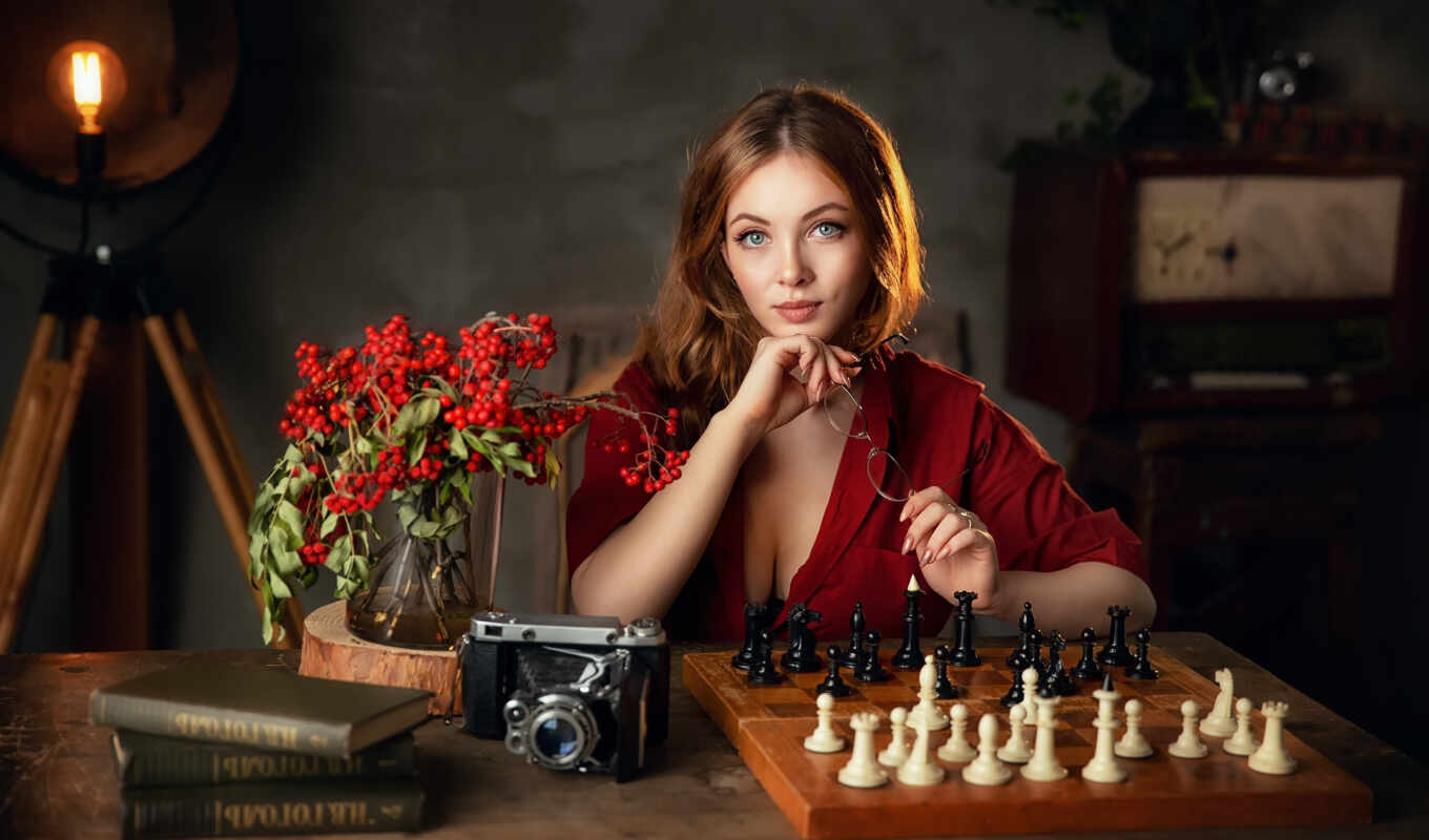 photo camera, flowers, game, woman, board, model, persian, chess, astrologer, Oleg, technique
