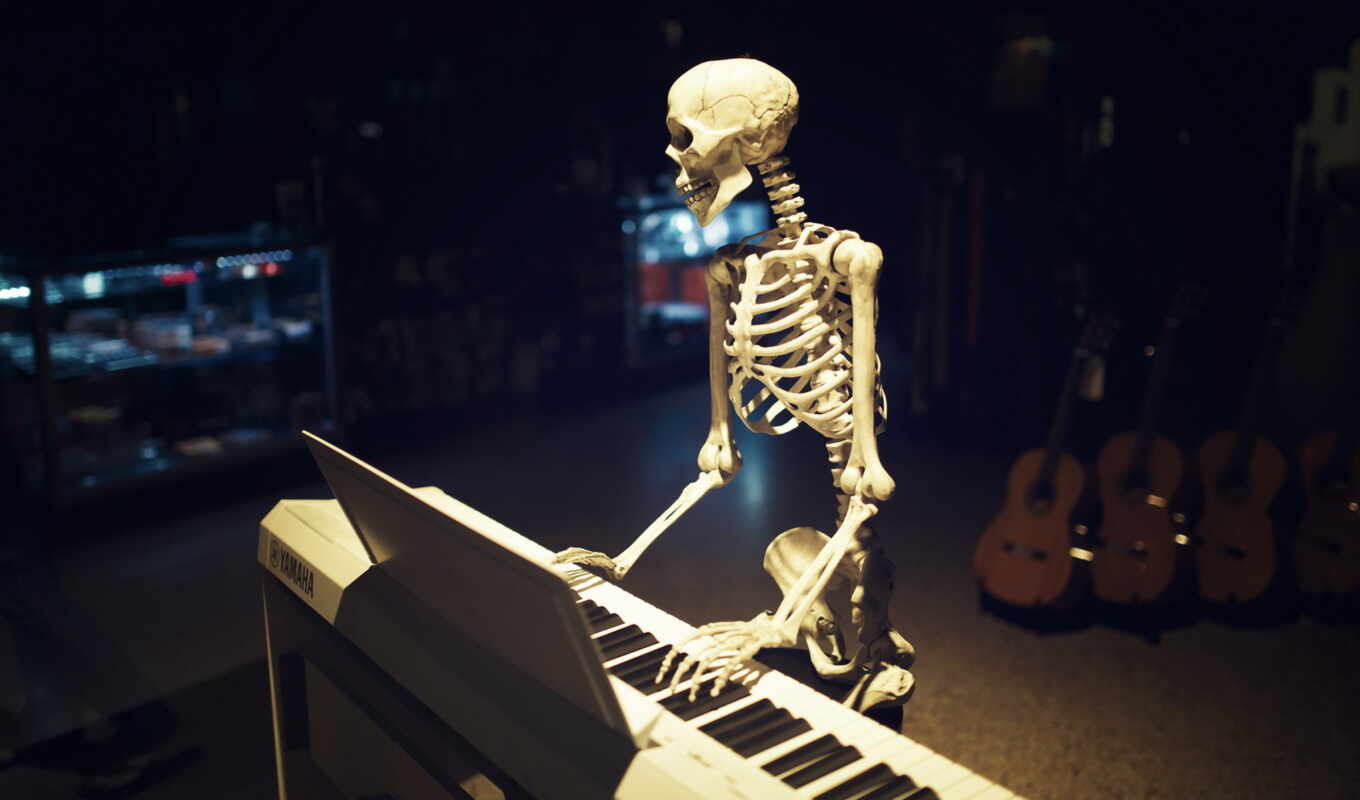 music, pictures, images, funny, skeleton