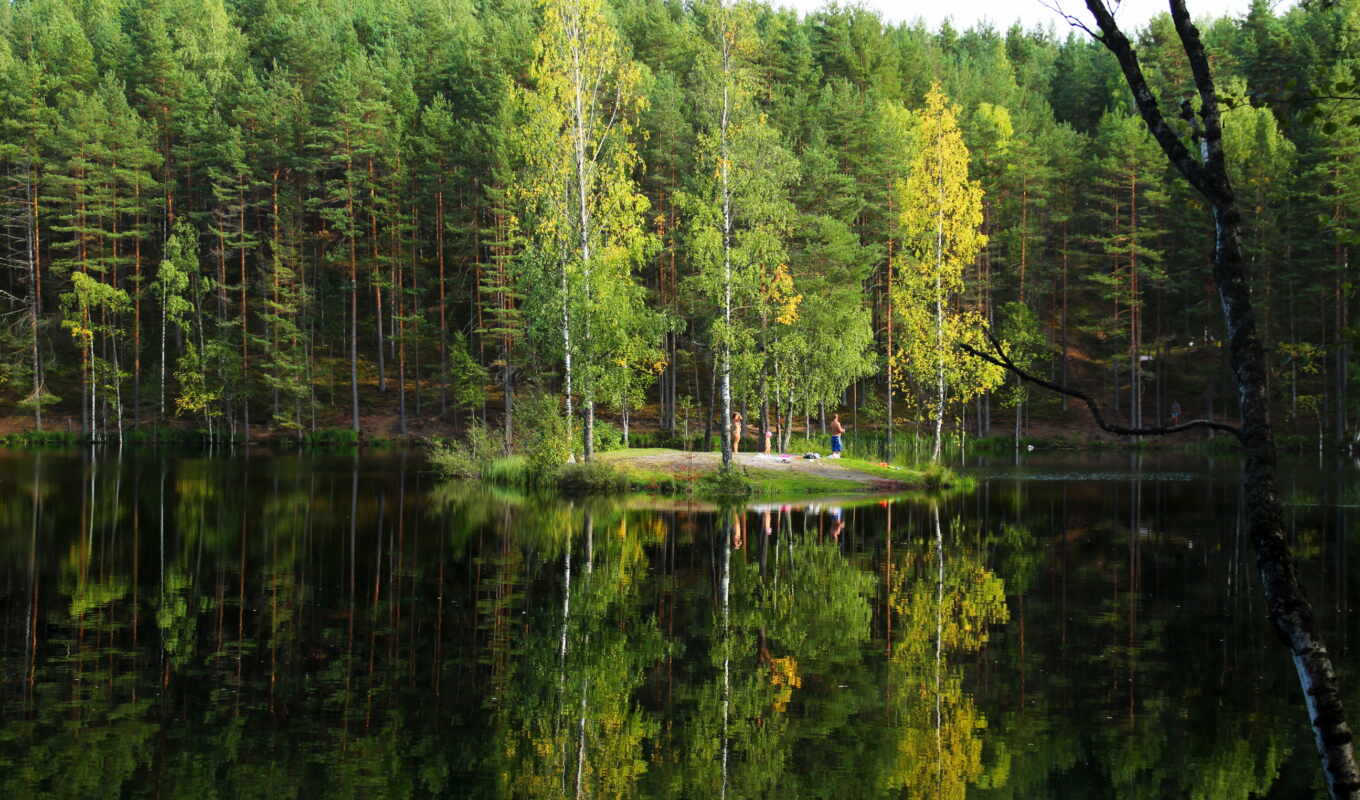 Природа России Лес Фото