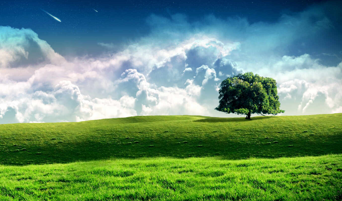 природа, небо, дерево, трава, поле, landscape, биг, облако, star, луг