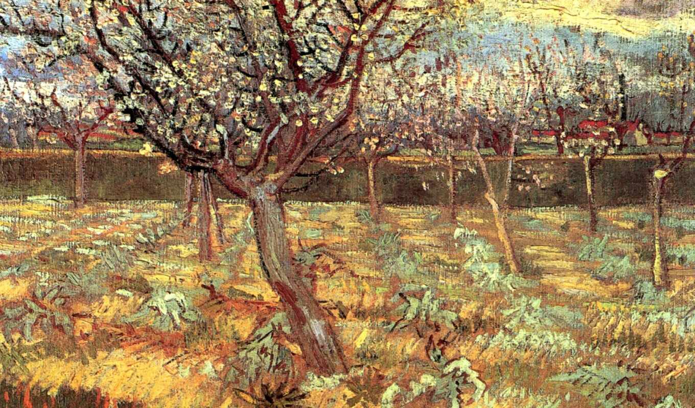 high, picture, tree, van, color, work, oil, vincent, manual, apricot, goga
