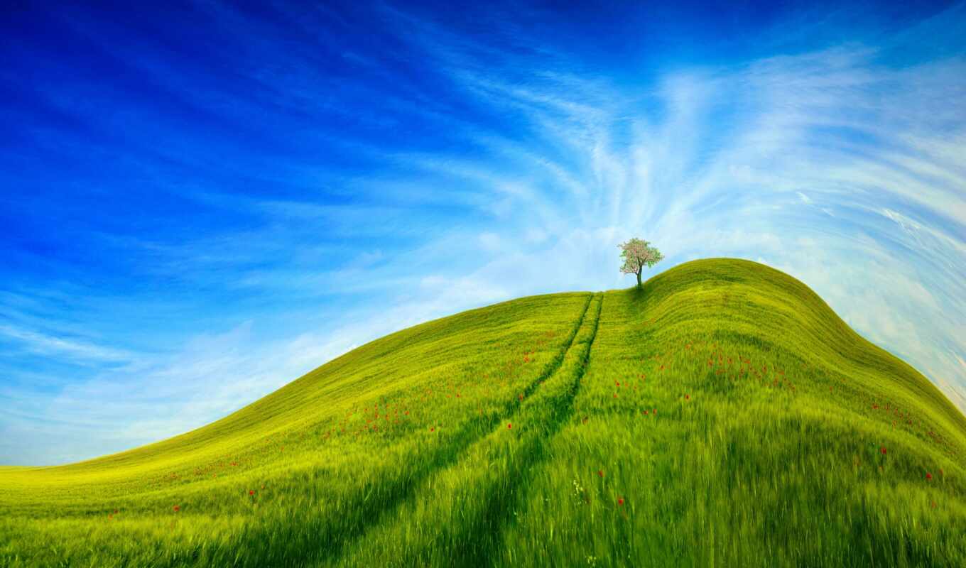небо, дерево, трава, hill
