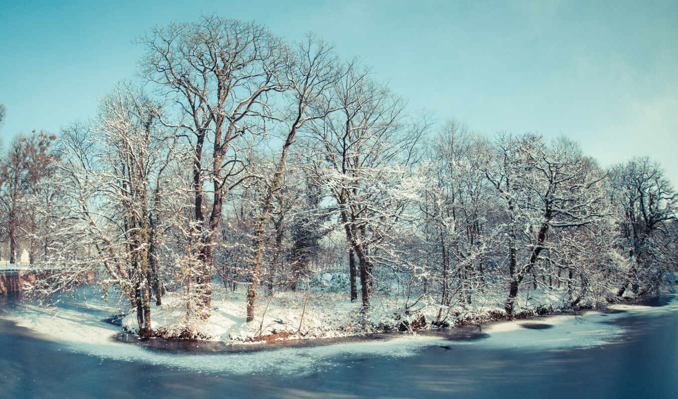 деревья, зима, река