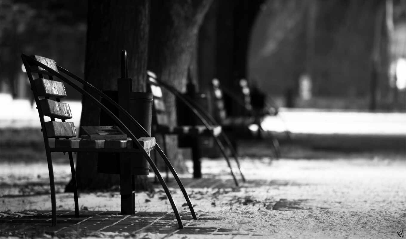 black, book, city, history, white, mood, benches, moods