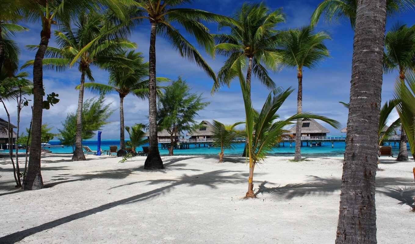 пальмы, остров, praia, maldives, paisagem, grande, бунгало