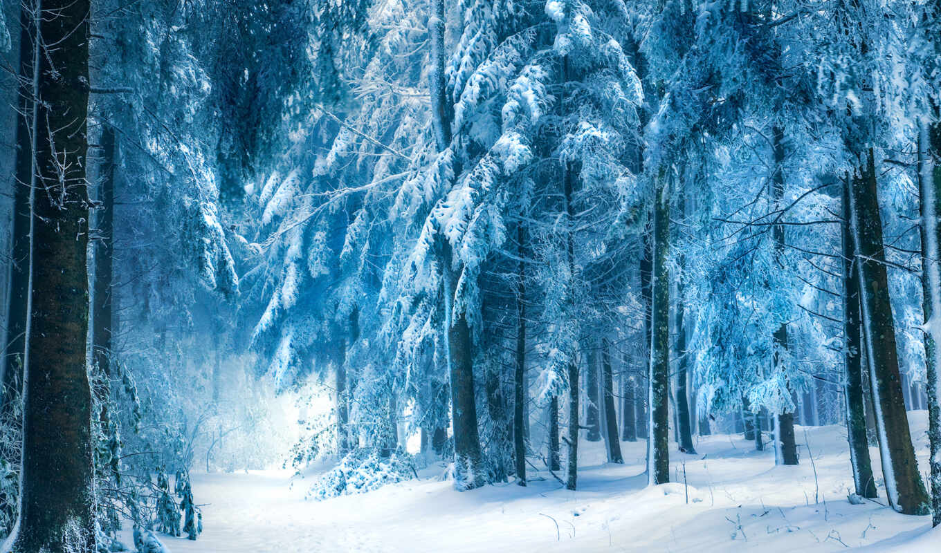 природа, снег, winter, лес, дорога