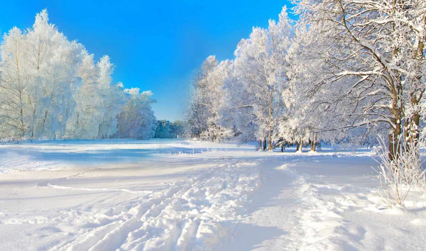 природа, снег, winter, лес, time, разделе, день, trees, красиво, зимняя, trail