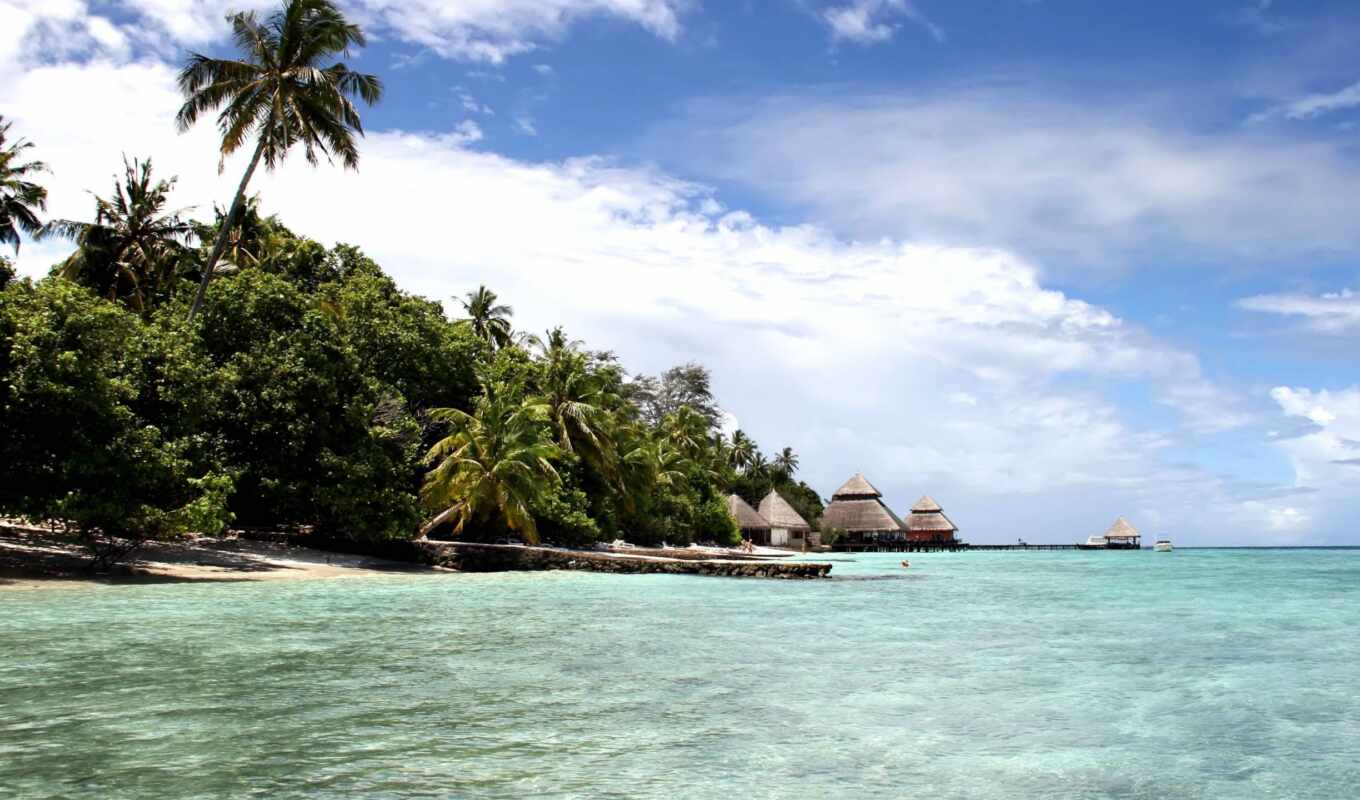 пляж, море, остров, ocean, maldives, tropical, устройство