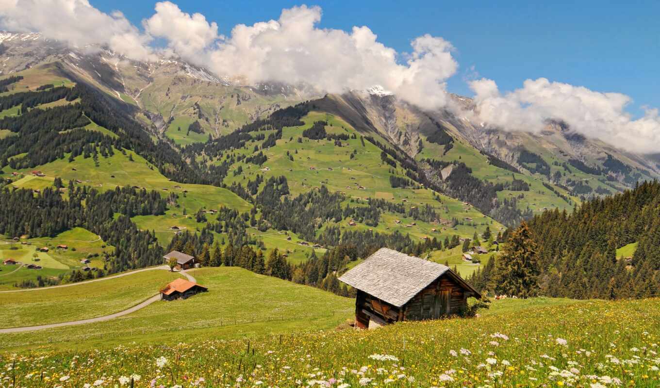 mountain, cloud, lodge, Switzerland, weed, oberland, berner