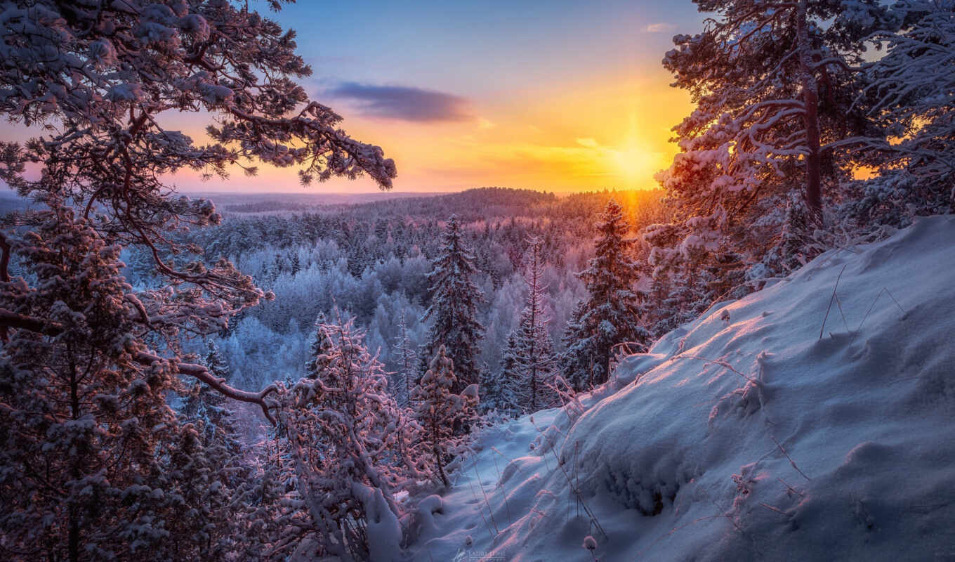 природа, sun, дерево, закат, снег, winter, fore