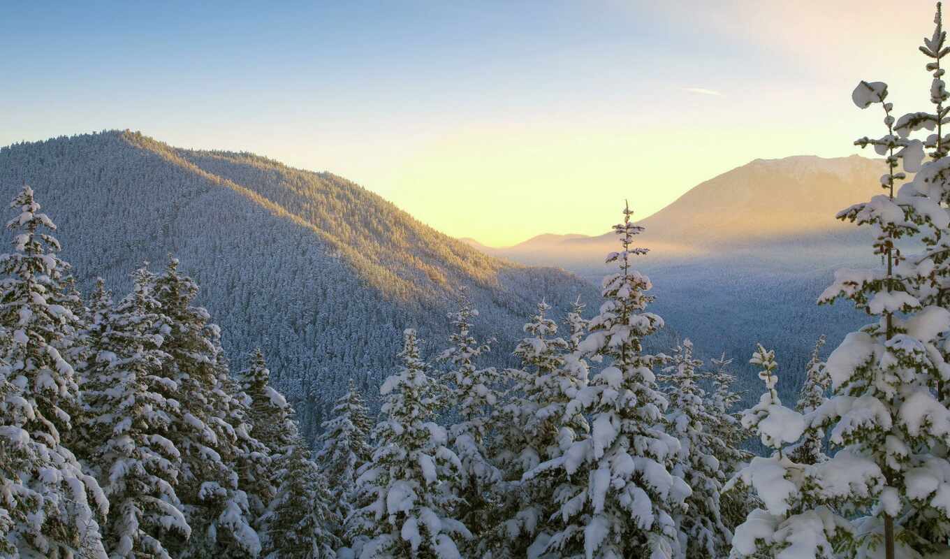 природа, пейзажи -, широкоформатные, снег, winter, trees, зимние, горы