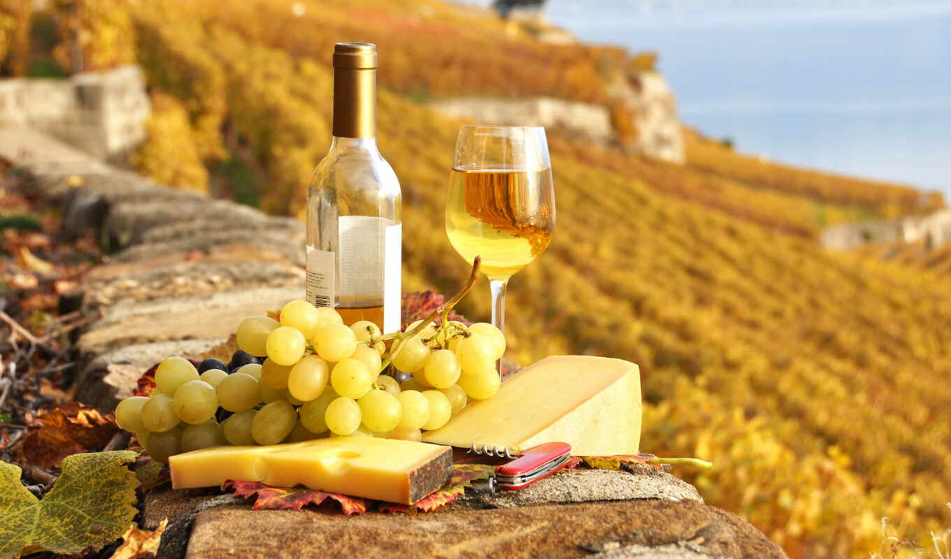 вино, виноград, french, осенняя, франции, сыр