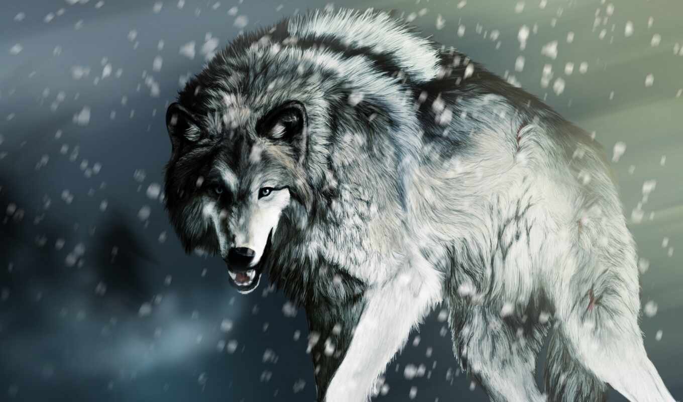 drawing, snow, to find, wolf, wolves, wolf, hunting, zhivotnye, wolves, apk